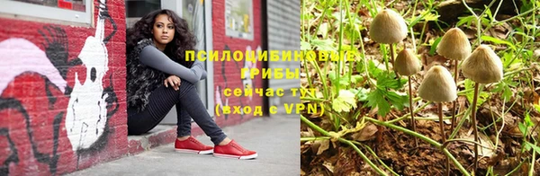 тгк Горнозаводск