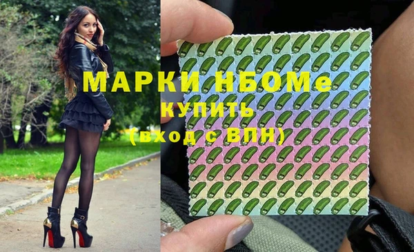мдпв Гусь-Хрустальный
