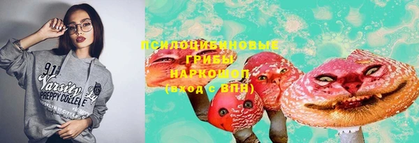 мдпв Гусь-Хрустальный