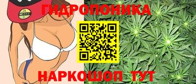 молекула духа Можга