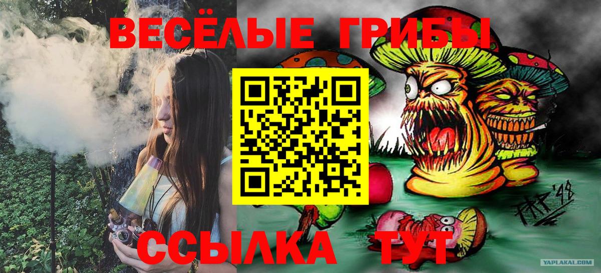 Псилоцибиновые грибы GOLDEN TEACHER  Вход с VPN  Донской 