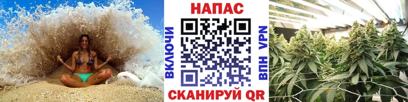 гидра ССЫЛКА  Донской  Конопля семена 